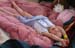 hanging-at-the-clappers-03