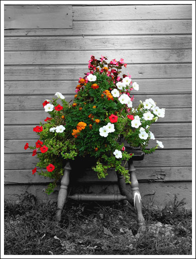 flower-chair.jpg