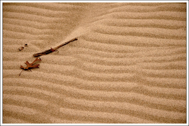 dune-stick0001.jpg
