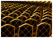golden-chairs01-thm.jpg