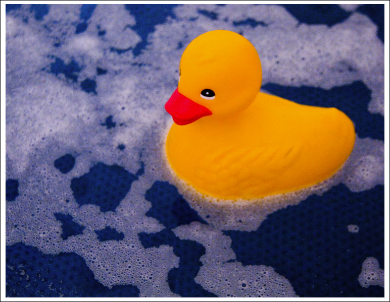 duck-in-tub02.jpg