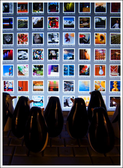 penguins-on-computer007.jpg