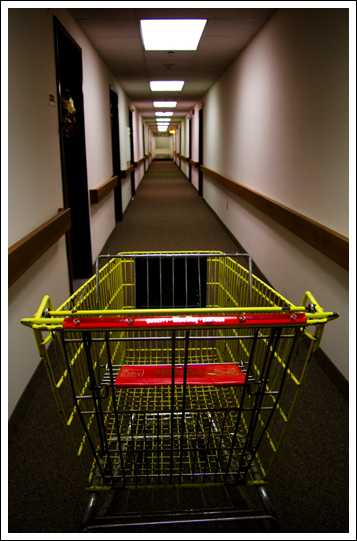 shopping-cart-in-hall.jpg