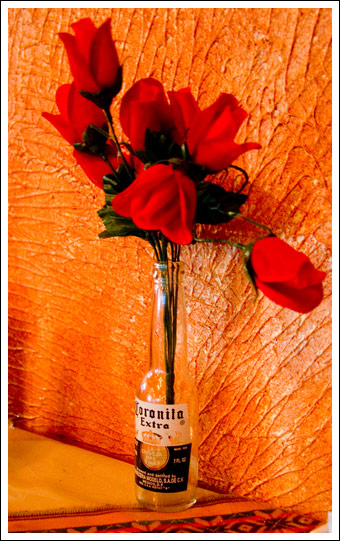 mexi-roses003.jpg