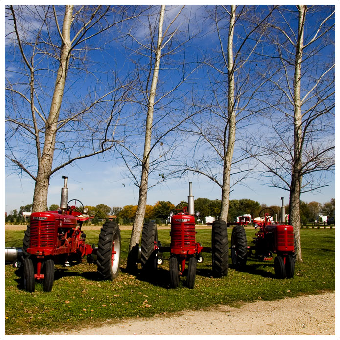 red-tractors006.jpg