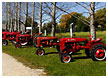 red-tractors004-thm.jpg
