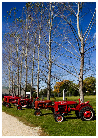 red-tractors004.jpg
