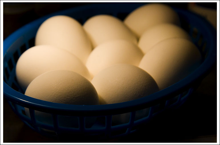 eggs014.jpg