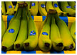 bananas002-thm.jpg