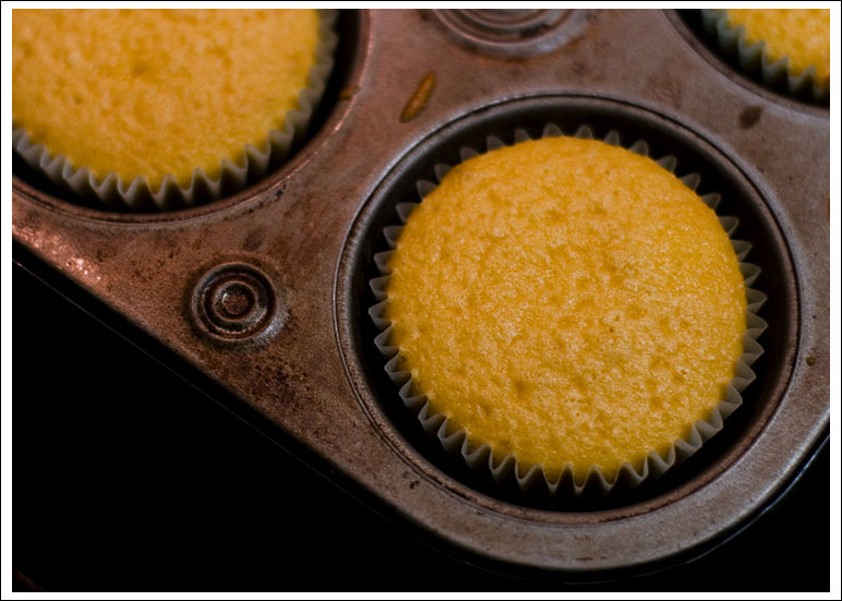 cupcakes001.jpg