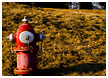 firehydrant-thm.jpg