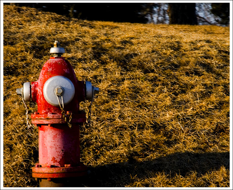 firehydrant.jpg