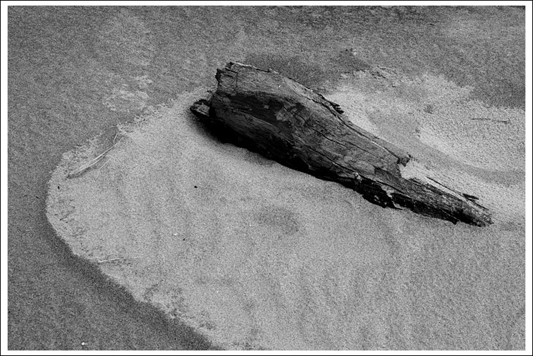 driftwood-on-sand.jpg