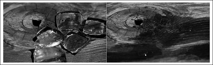 melting-ice-on-wood-table00.jpg