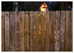 fire-over-fence-thm.jpg