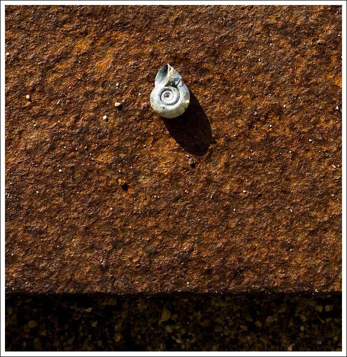 snail-on-rust001.jpg