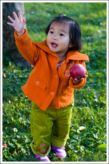 picking-apples017.jpg