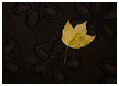 leaf-on-mat005-thm.jpg