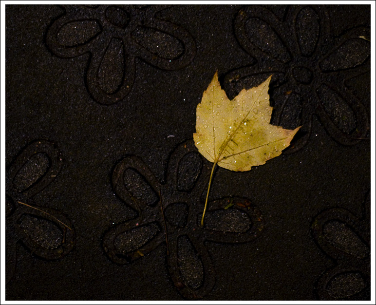 leaf-on-mat005.jpg