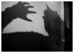 shadow-cat011-thm.jpg