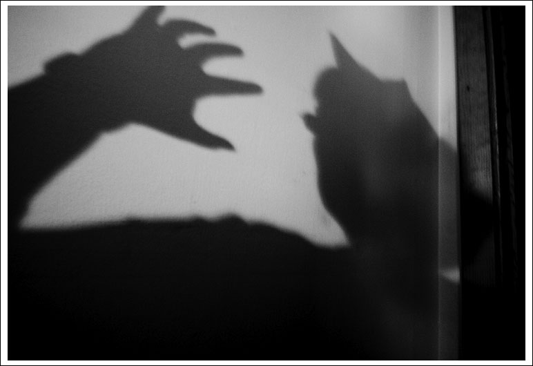 shadow-cat011.jpg