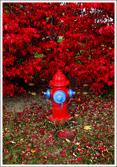 red-firehydrant.jpg