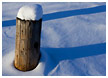 snowy-poles005-thm.jpg