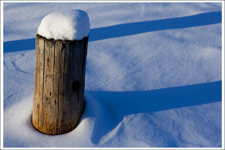 snowy-poles005.jpg