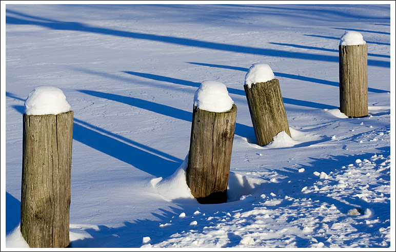 snowy-poles009.jpg