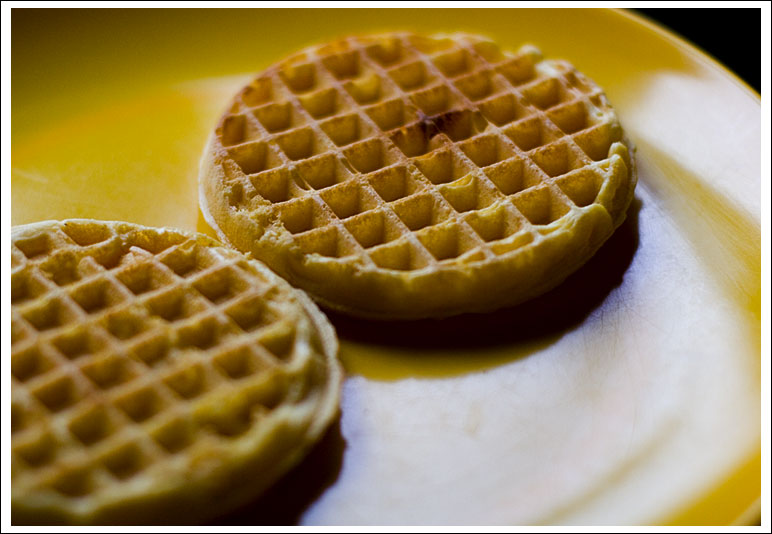 waffles-on-yellow002.jpg