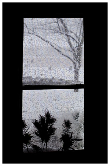 winter-window003.jpg