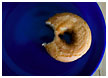 donut-on-blue002-thm.jpg