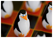penguin-checkers003-thm.jpg