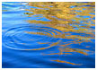river-reflections-thm.jpg