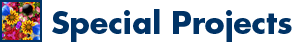 special projects
