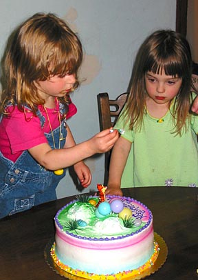 emmas-bday-cake03
