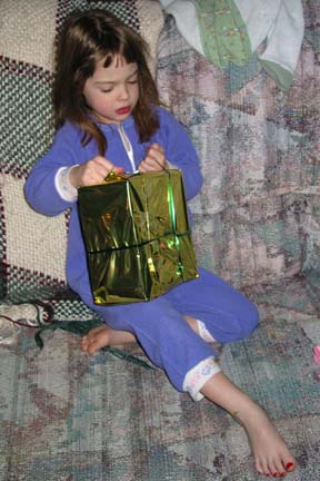 xmas-fortwayne01