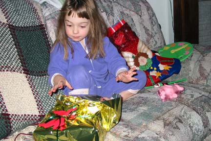 xmas-fortwayne03